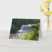 Upper Tahquamenon Herfsten State Park, MI Verjaard Kaart (Gele Bloem)