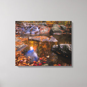 Upper Whiteoak Falls, Shenandoah National Park, VA Canvas Afdruk
