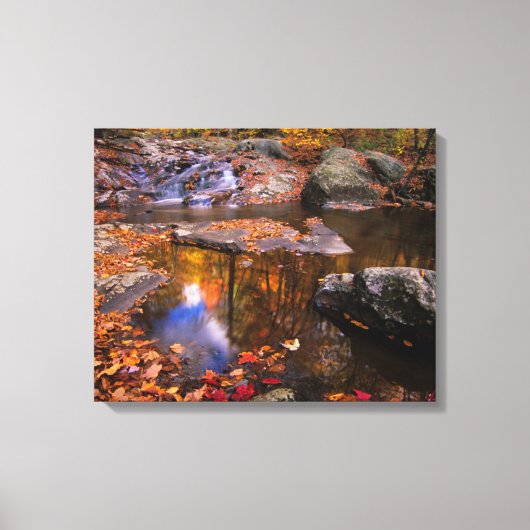 Upper Whiteoak Falls, Shenandoah National Park, VA Canvas Afdruk (Voorkant)