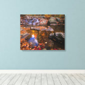 Upper Whiteoak Falls, Shenandoah National Park, VA Canvas Afdruk (Insitu (Houten vloer))
