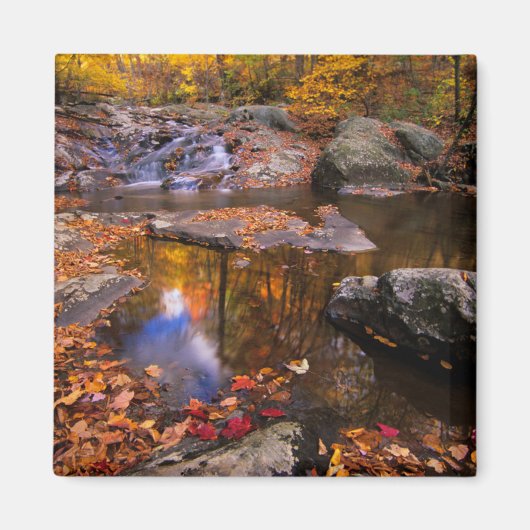 Upper Whiteoak Falls, Shenandoah National Park, VA Magneet (Voorkant)
