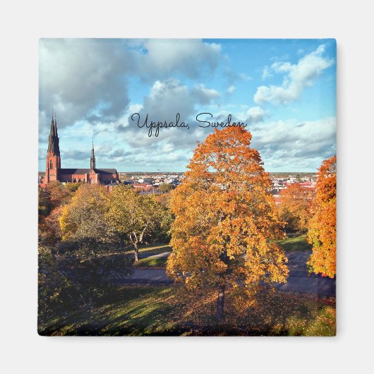 Uppsala, Zweedse landschap Magneet (Voorkant)