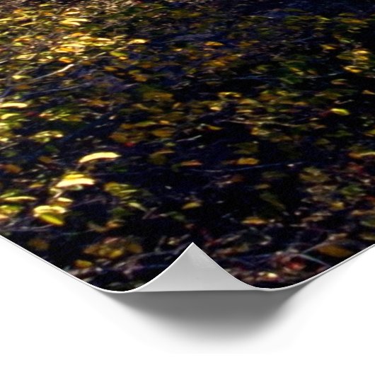 Uppsala, Zweedse landschap Poster (Hoek)