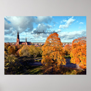 Uppsala, Zweedse landschap Poster
