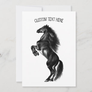 Upright Black Wild Horse - Black and White Tekenin