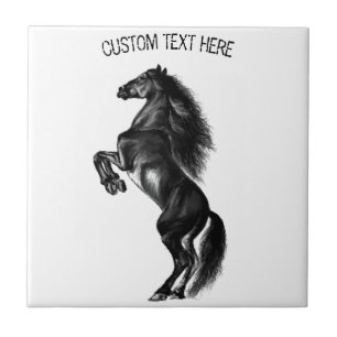 Upright Black Wild Horse - Black and White Tekenin Tegeltje