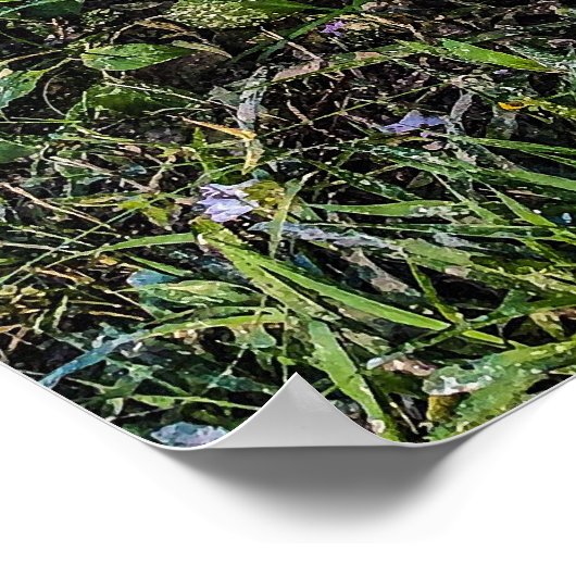 Uprooted 5 Print, Poster paper (semischuim) (Hoek)