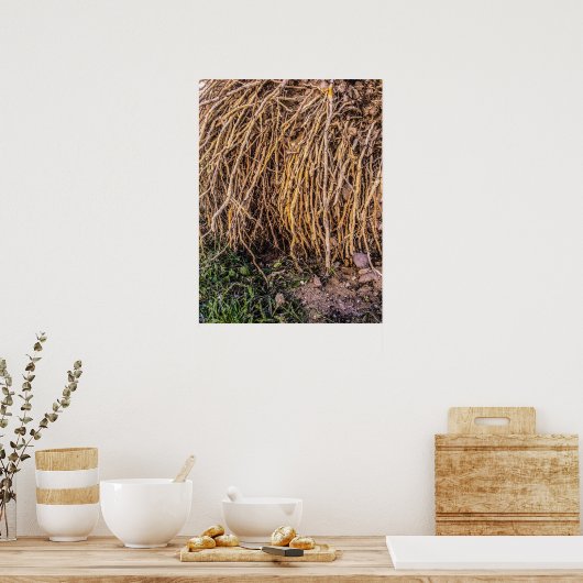 Uprooted 5 Print, Poster paper (semischuim) (Keuken)