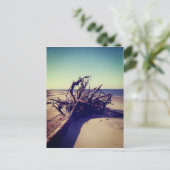 Uprooted Tree on the Beach Briefkaart (Staand voorkant)