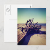 Uprooted Tree on the Beach Briefkaart (Voorkant / Achterkant)