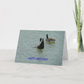 Upside Down Goose, Verjaardag Kaart (Voorkant)