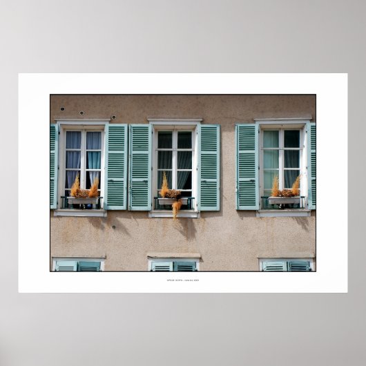 UPSIDE DOWN-Poster Poster (Voorkant)