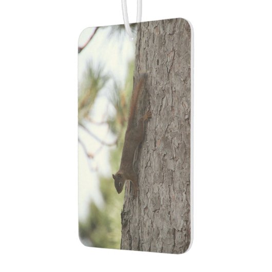 Upside Down Squirrel Luchtverfrisser (Links)