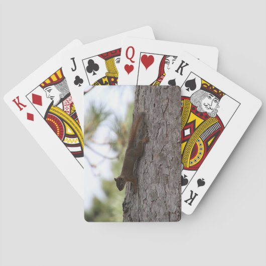 Upside Down Squirrel Playing Cards Pokerkaarten (Achterkant)