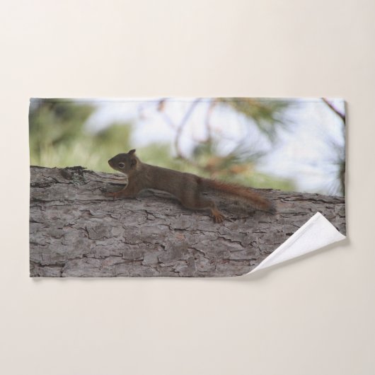 Upside Down Squirrel Towel Set Bad Handdoek (Handdoek)