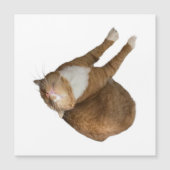 Upside-Down Sunshine (Voorkant)