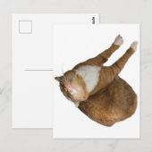 Upside-Down Sunshine Briefkaart (Voorkant / Achterkant)