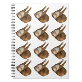 Upside-Down Sunshine Cat Notitieboek