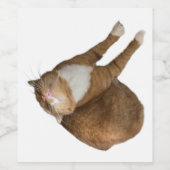 Upside-Down Sunshine Cat Wijn Etiket (Enkel label)