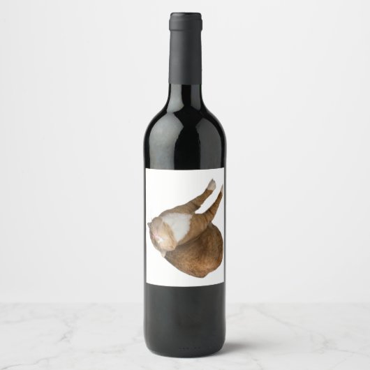 Upside-Down Sunshine Cat Wijn Etiket (Voorkant)