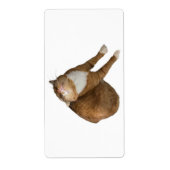 Upside-Down Sunshine Etiket (Voorkant)