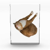 Upside-Down Sunshine Fotoblokken (Voorkant)