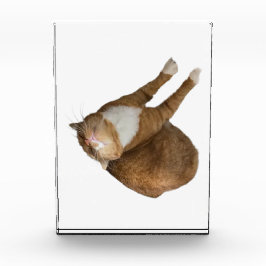 Upside-Down Sunshine Fotoblokken