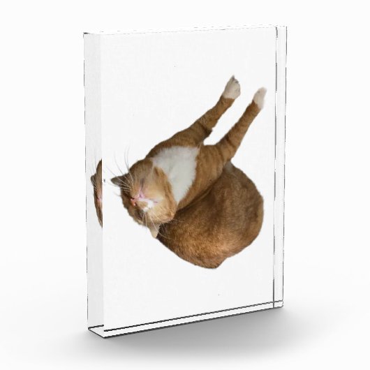 Upside-Down Sunshine Fotoblokken (Links)