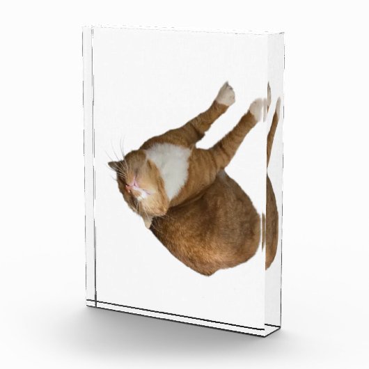 Upside-Down Sunshine Fotoblokken (Rechts)