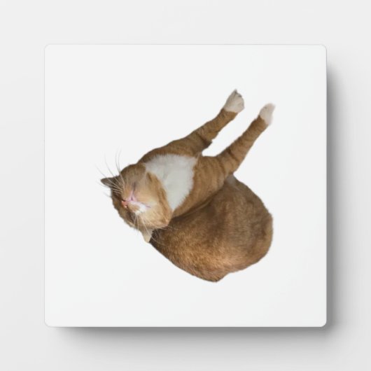 Upside-Down Sunshine Fotoplaat (Voorkant)