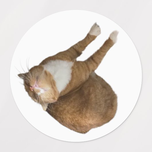 Upside-Down Sunshine Labels (Design 2)