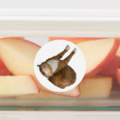 Upside-Down Sunshine Labels (Aangebracht)