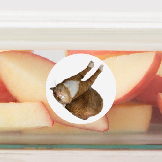 Upside-Down Sunshine Labels (Aangebracht)