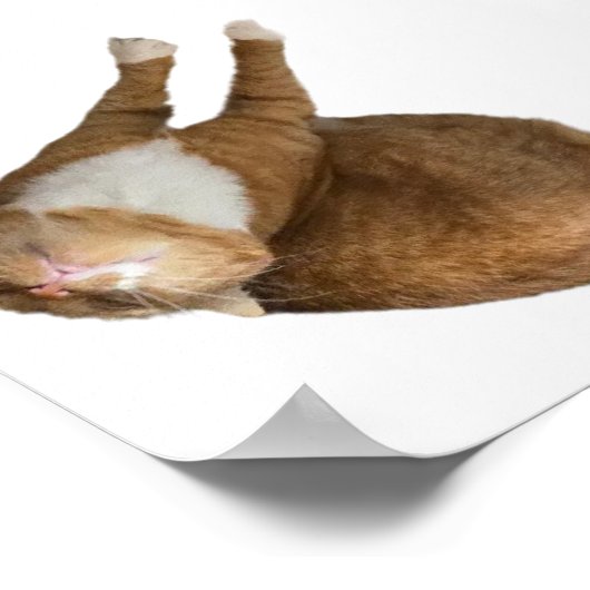 Upside-Down Sunshine Poster (Hoek)