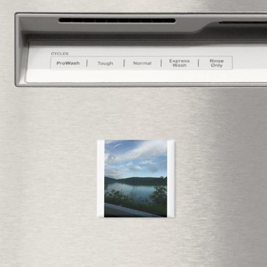 Upstate Magneet (Insitu (Vaatwasser))