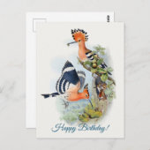 Upupa Epops Briefkaart (Voorkant / Achterkant)