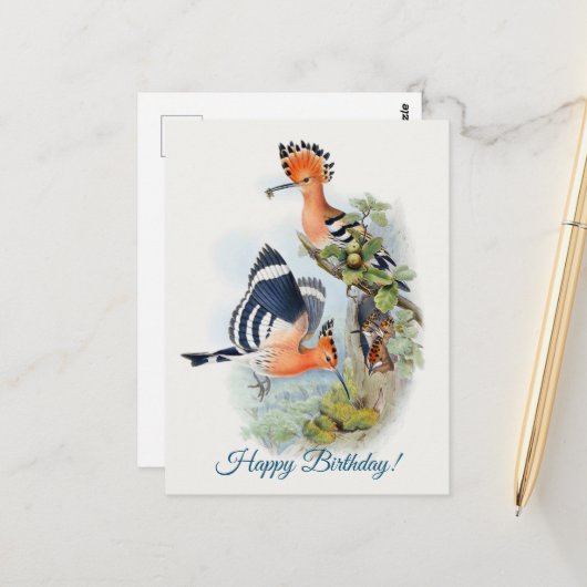 Upupa Epops Briefkaart (Voorkant / Achterkant in situ)