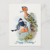 Upupa Epops Briefkaart (Voorkant)