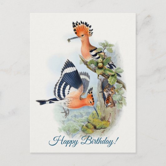 Upupa Epops Briefkaart (Voorkant)