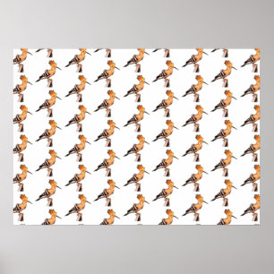 Upupa epops epops Tiled Pattern Poster