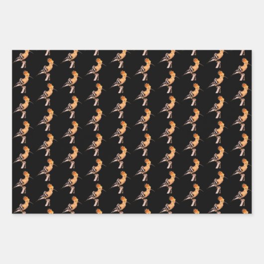 Upupa epops inpakpapier vel (Voorkant 2)