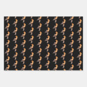 Upupa epops inpakpapier vel (Voorkant)