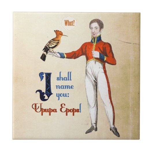 Upupa Epops Tegeltje (Voorkant)