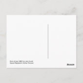 Upupa Nigripennis (Indiaas Hoope) Briefkaart (Achterkant)