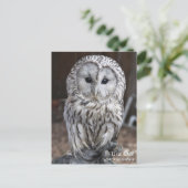 Ural Owl Briefkaart (Staand voorkant)