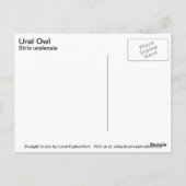 Ural Owl Briefkaart (Achterkant)