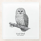 Ural Owl Glazen Onderzetter (Voorkant)