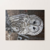 Ural Owl Legpuzzel (Horizontaal)