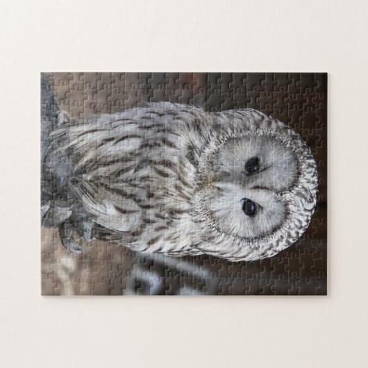 Ural Owl Legpuzzel (Horizontaal)