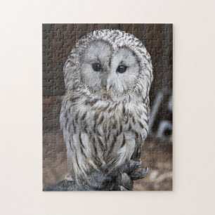 Ural Owl Legpuzzel